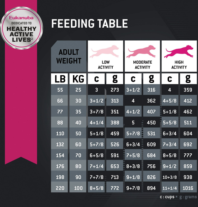 Eukanuba Adult Large Breed