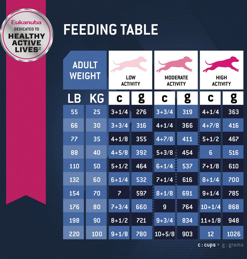 Eukanuba Senior Large Breed