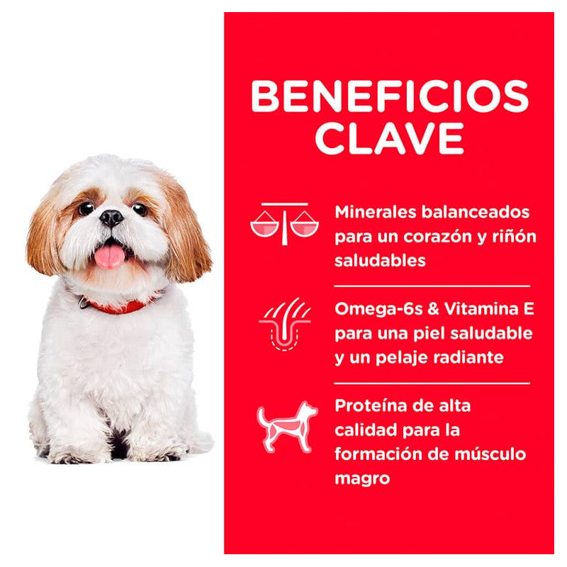 Hill's Adult 7+ Small Bites