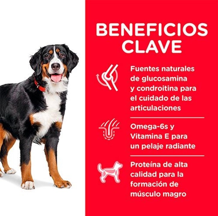 Hill's Large Breed Adult