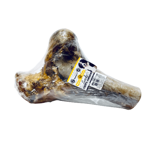 Medio fémur de vacuno