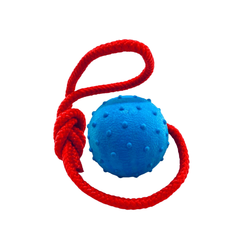 Pelota de goma dura con soga