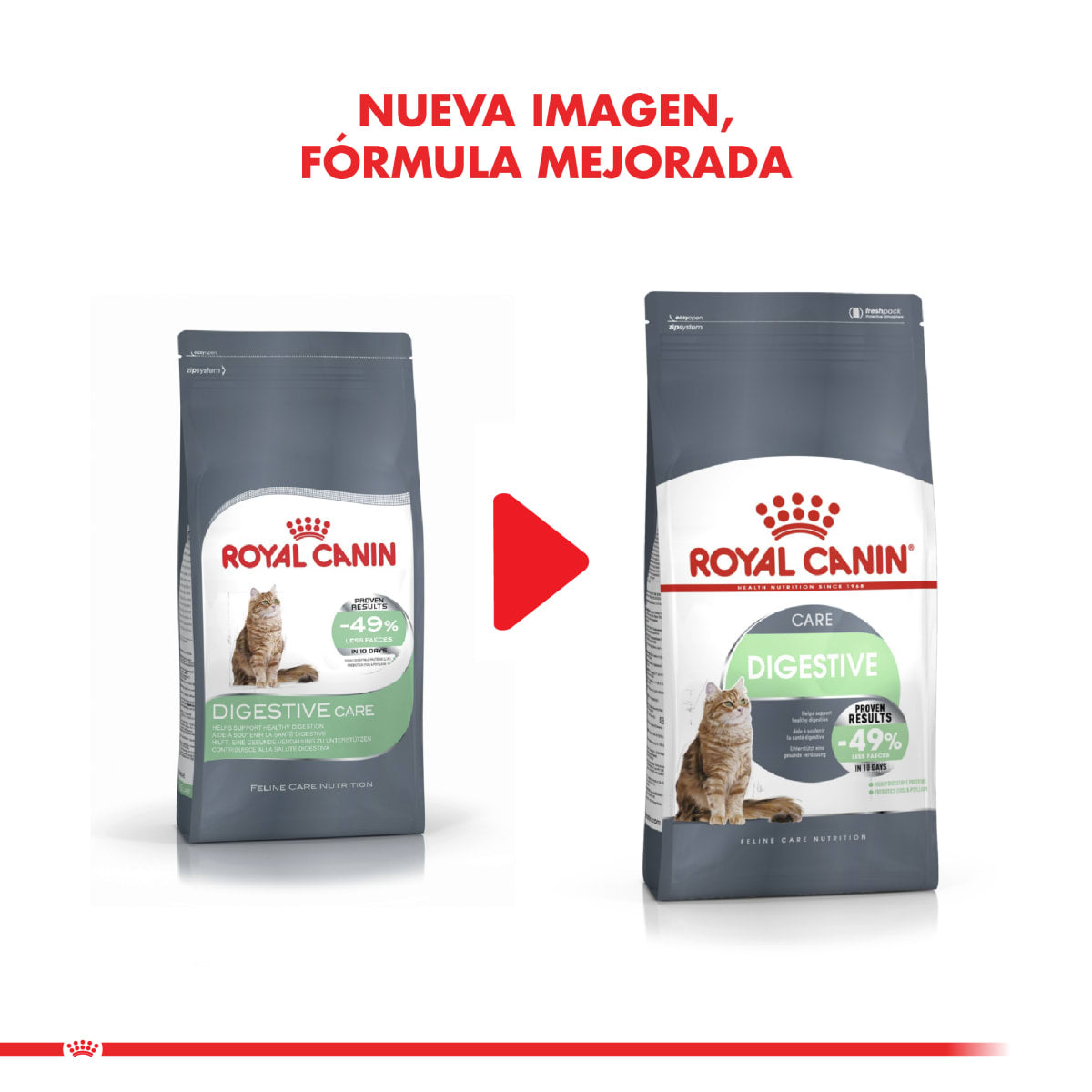 Royal Canin Digestive Care Felino