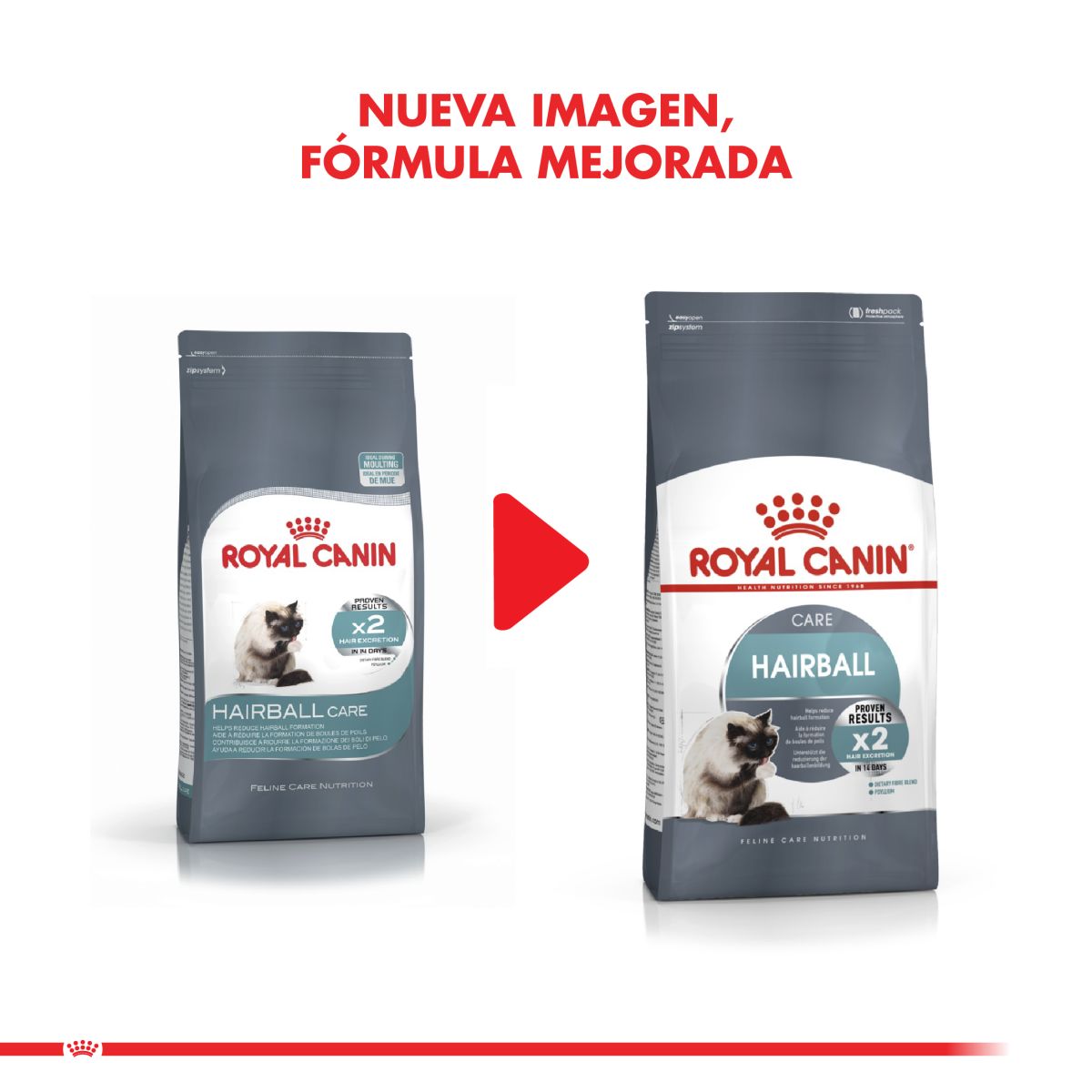 Royal Canin Hairball Felino