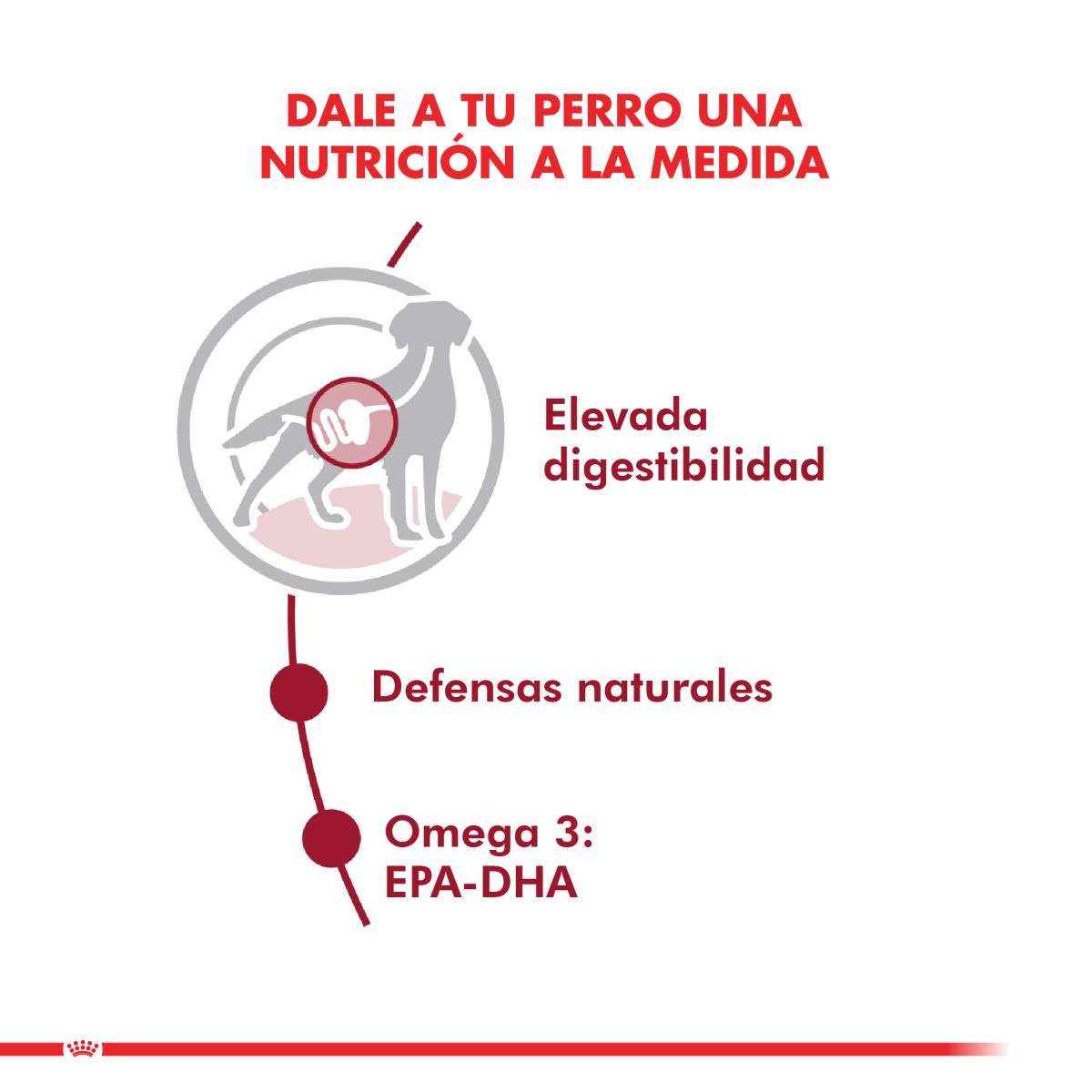 Royal Canin Medium Adult Pouch