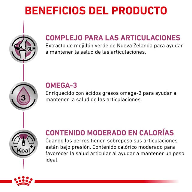 Royal Canin Mobility Support Canino