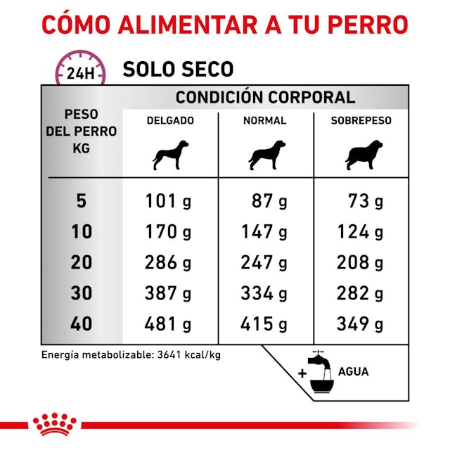 Royal Canin Mobility Support Canino