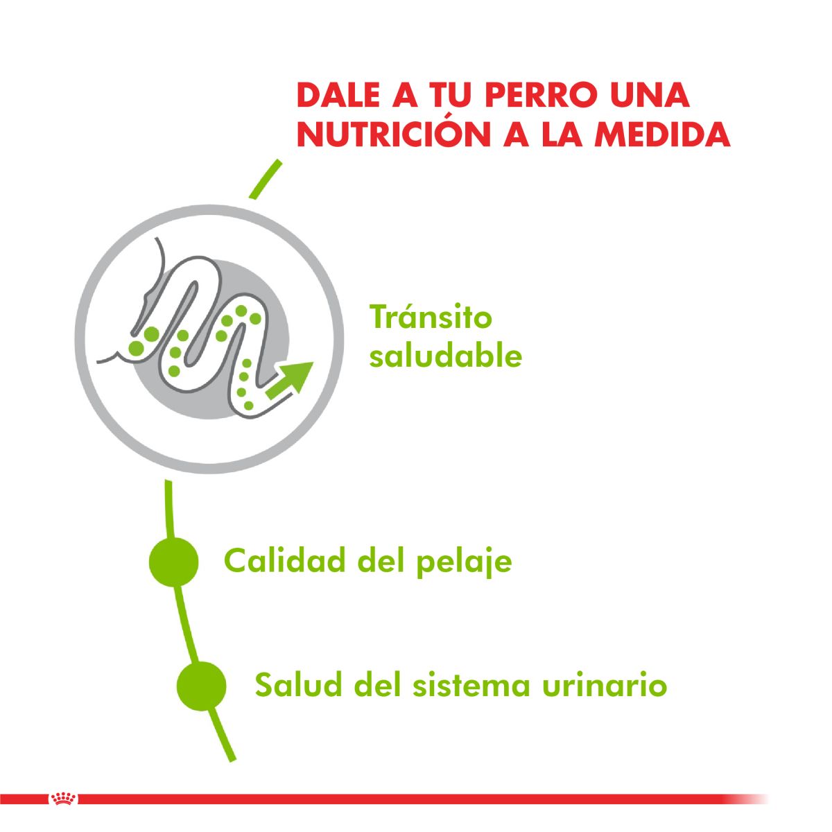 Royal Canin X-Small Adult