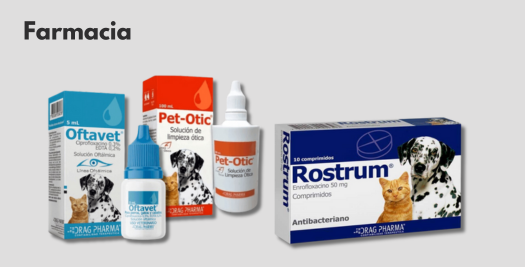 Farmacia P/G