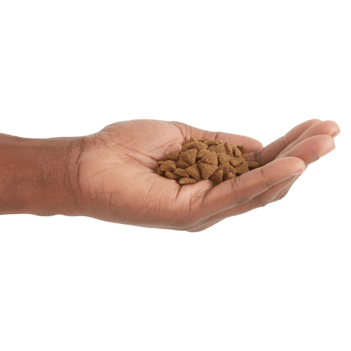 Acana Cat Indoor Entrée