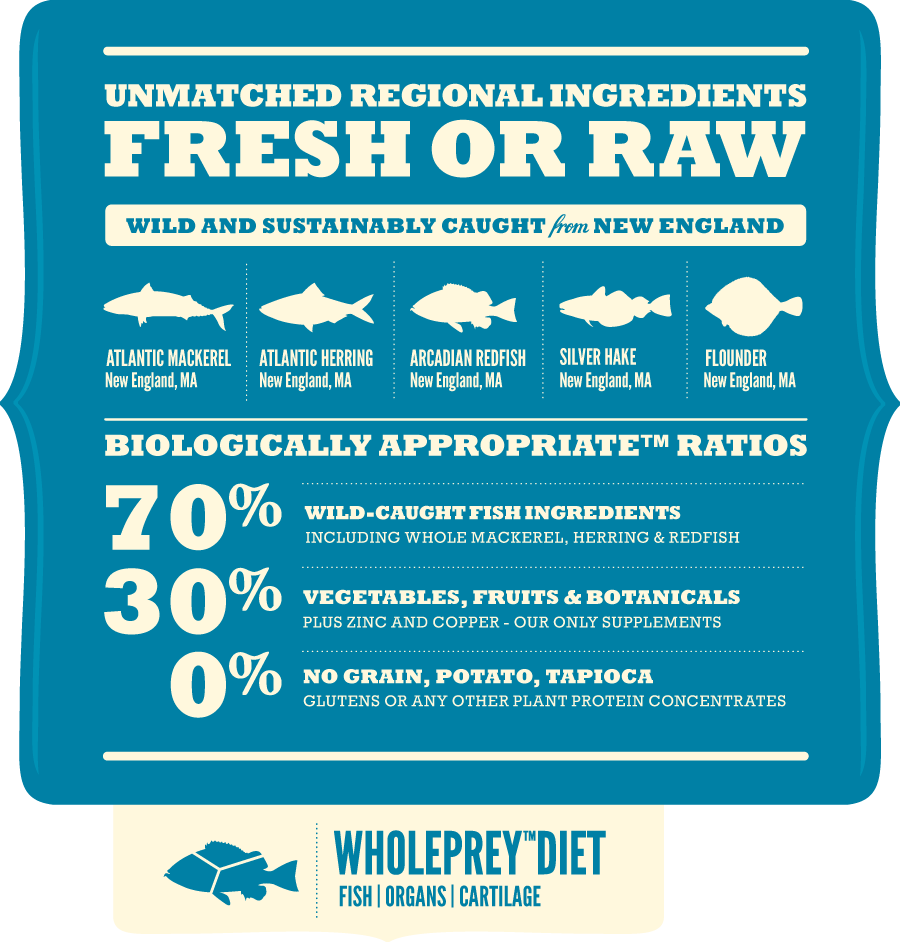 Acana Wild Atlantic Dog