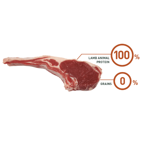 Bravery Lamb Adult Large/Medium Breed