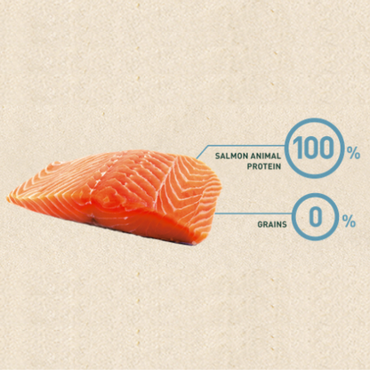 Bravery Salmon Adult Cat