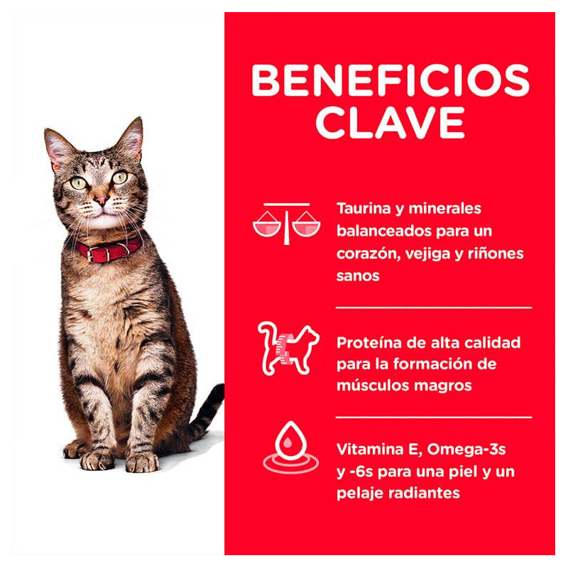 Hill's Adult 1-6 Felino