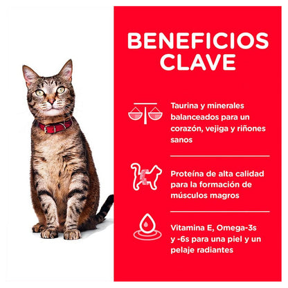 Hill's Adult 1-6 Felino