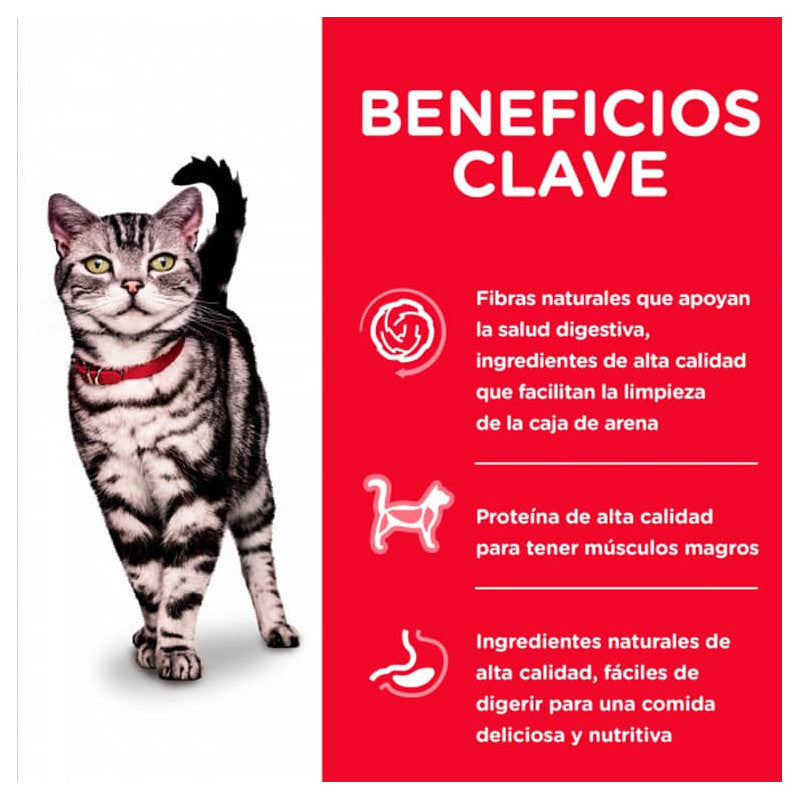 Hill's Adult 1-6 Indoor Felino