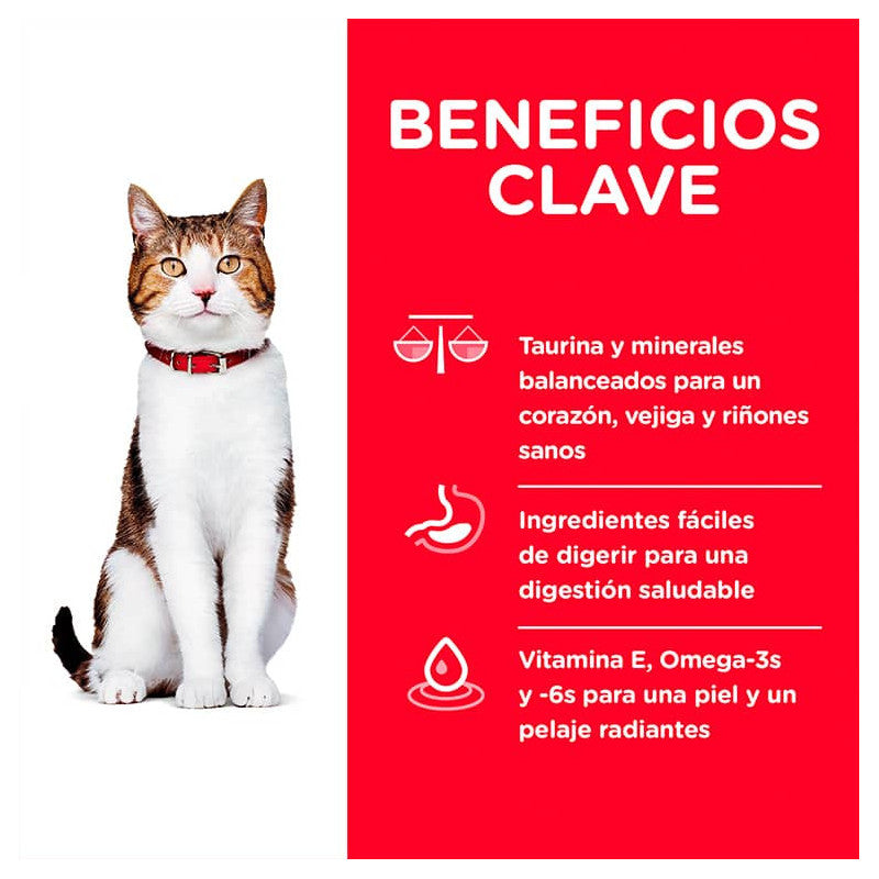 Hill's Adult 7+ Felino