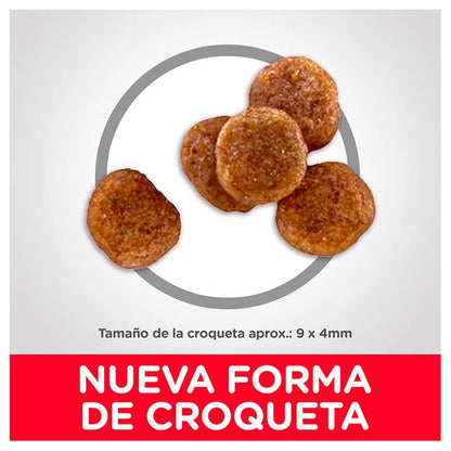 Hill's Adult 7+ Small Bites