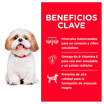 Hill's Adult 7+ Small Bites