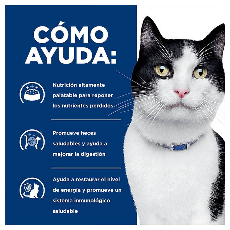 Hill's I/D Digestive Care Felino