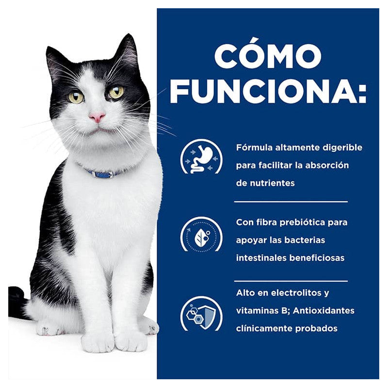 Hill's I/D Digestive Care Felino
