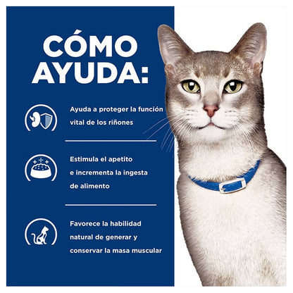 Hill's K/D Kidney Care Felino Lata