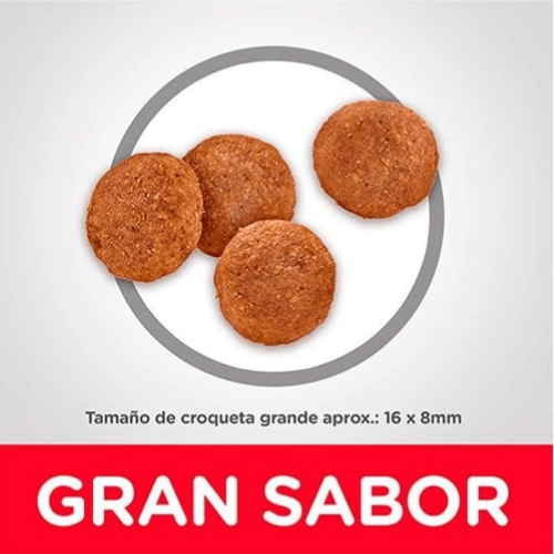 Hill's Large Breed Adult