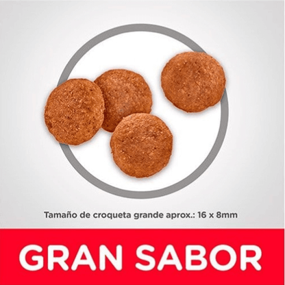 Hill's Large Breed Adult