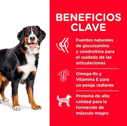 Hill's Large Breed Adult