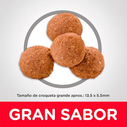 Hill's Large Breed Puppy