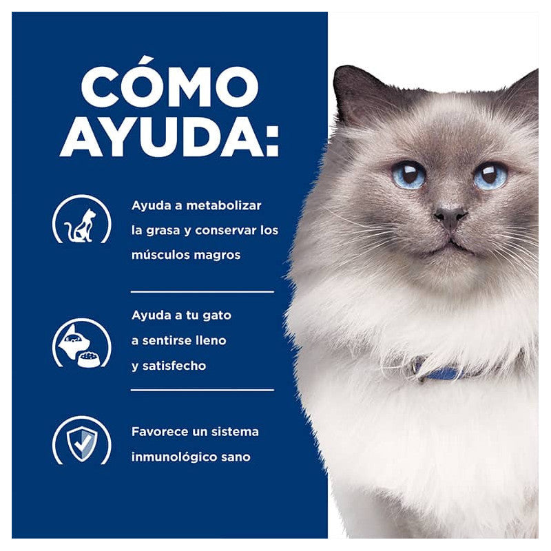 Hill's R/D Weight Loss Felino