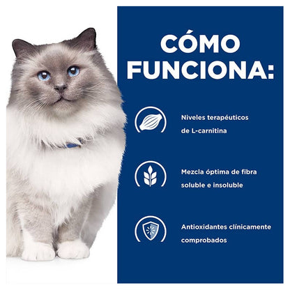 Hill's R/D Weight Loss Felino