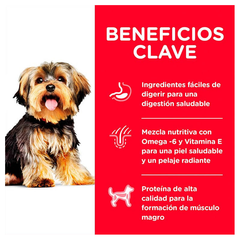 Hill's Small Paws Adult