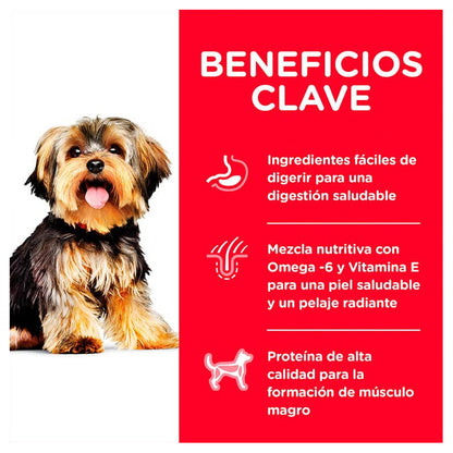 Hill's Small Paws Adult