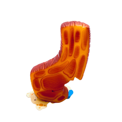 Juguete chuleta grande