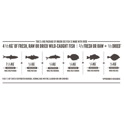 Orijen Six Fish Cat