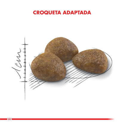 Royal Canin Active 7+