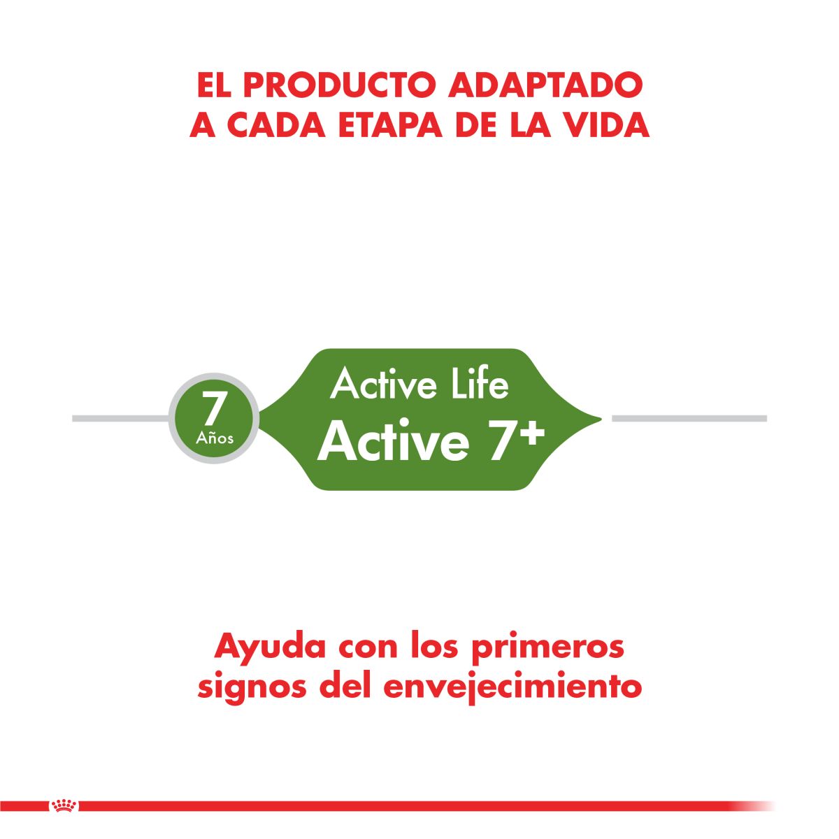 Royal Canin Active 7+