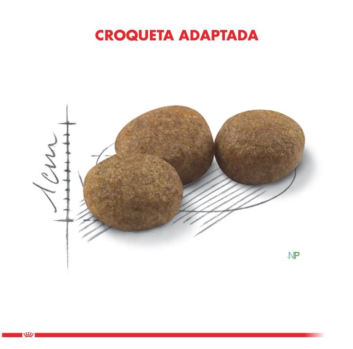 Royal Canin Adult Sterilised Felino