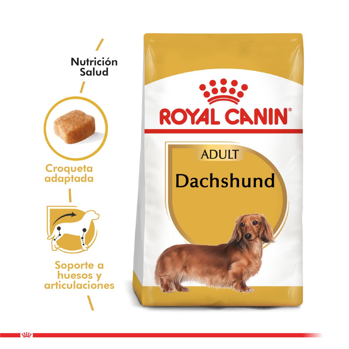 Royal Canin Dachshund Adulto