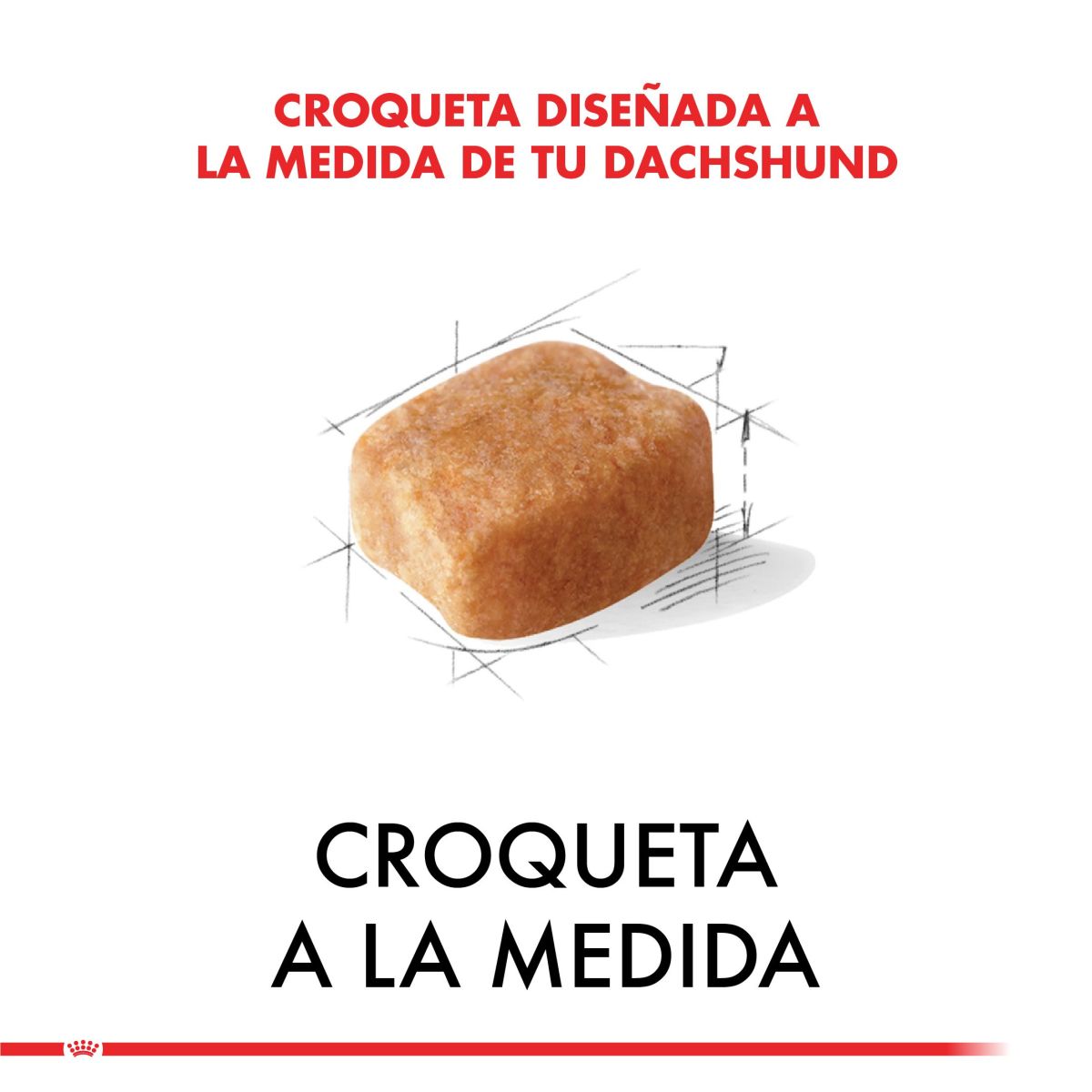 Royal Canin Dachshund Adulto