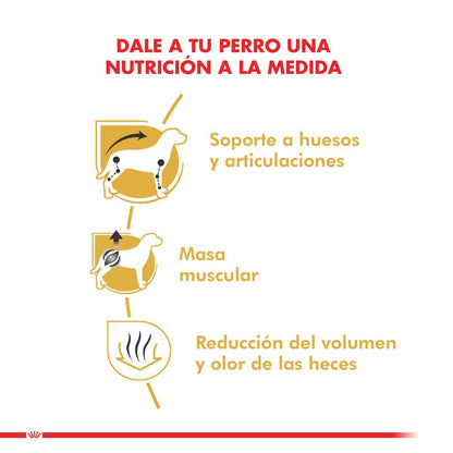 Royal Canin Dachshund Adulto