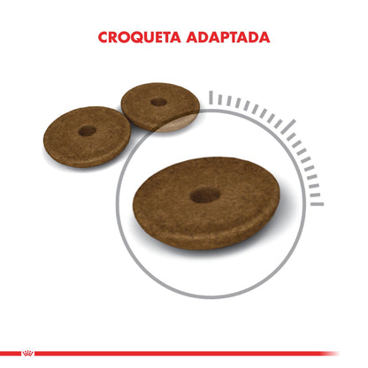 Royal Canin Digestive Care Felino