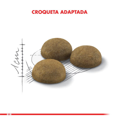 Royal Canin Indoor Long Hair