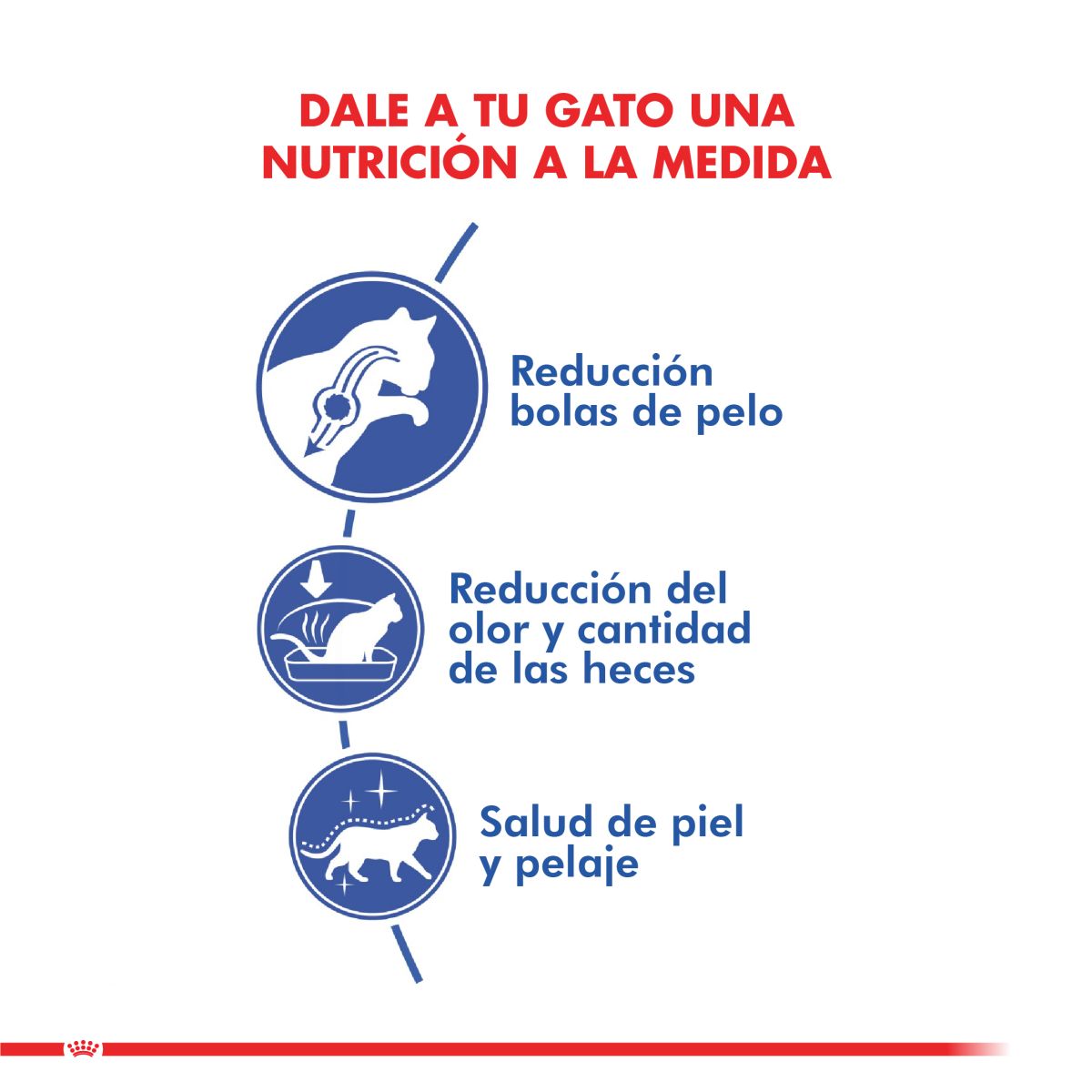 Royal Canin Indoor Long Hair