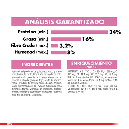 Royal Canin Kitten Felino