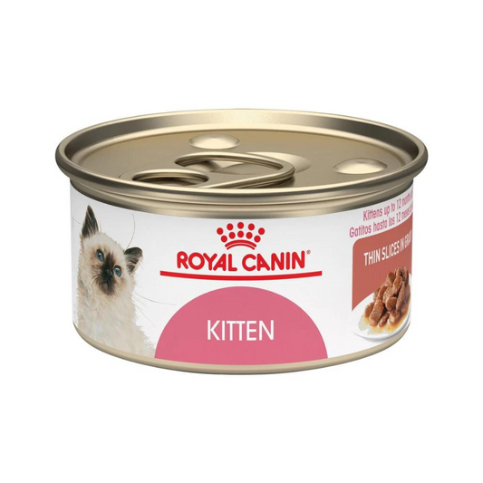 Royal Canin Kitten Lata