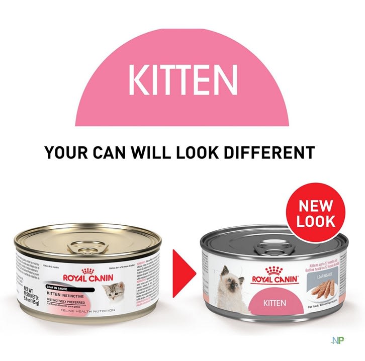 Royal Canin Kitten Lata