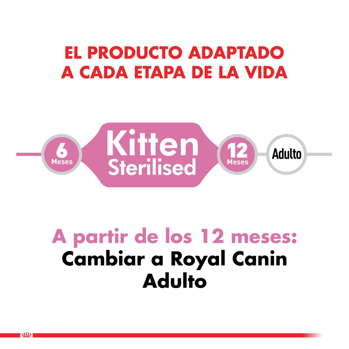 Royal Canin Kitten Sterilised Felino