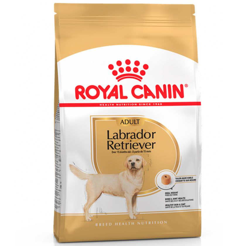 Royal Canin Labrador Retriever Adulto